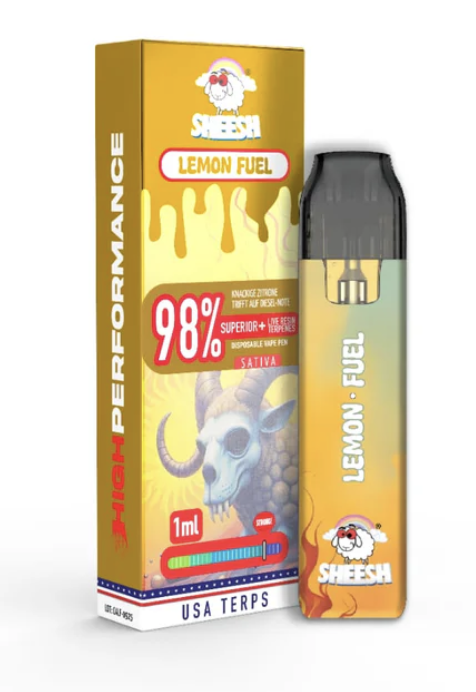 Screenshot 2026-02-17 at 11.20.40