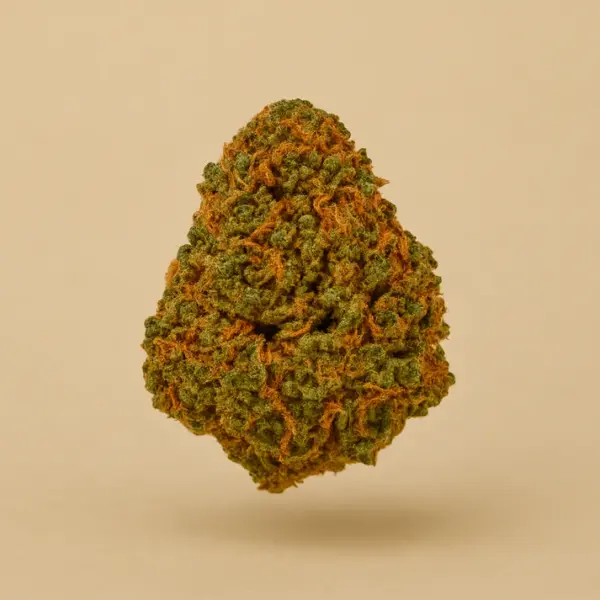 ChatGPT_Image_13_sept_2025_10_33_33