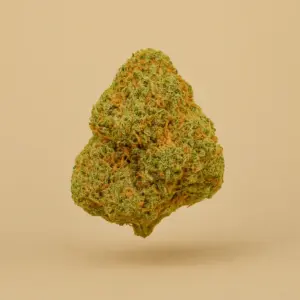 Gorilla Glue - Imagen 1