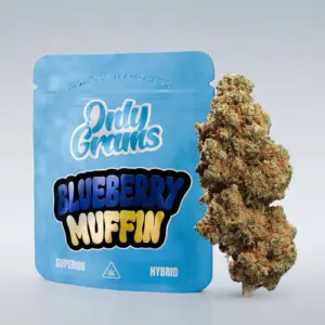 Blueberry Muffin - Superior 40% - Imagen 1
